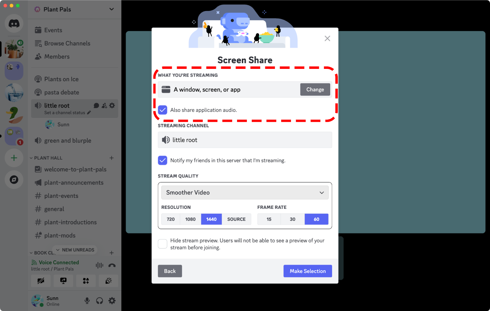 Discord Go Live and share screen flow