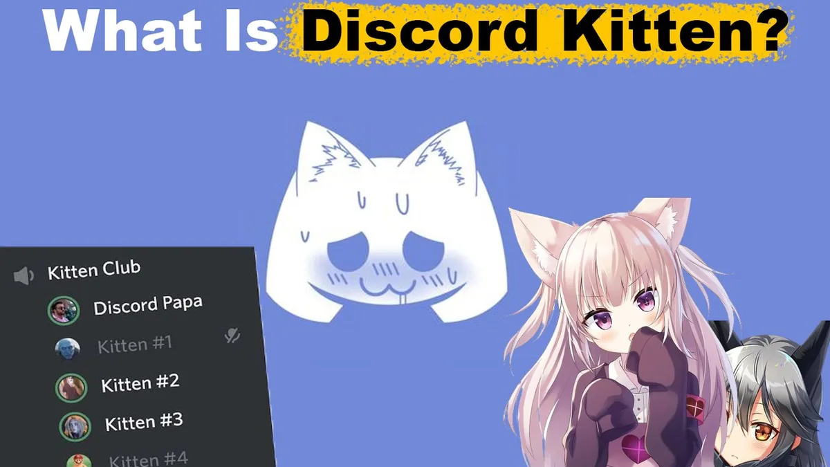 E Kitten Discord Server background
